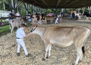 news nc Lam Fair 4H PeeWees 1 gm 3724 copy
