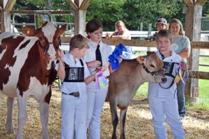 news nc Lam Fair 4H PeeWees 10 gm 3724 copy