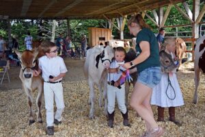 news nc Lam Fair 4H PeeWees 11 gm 3724 copy