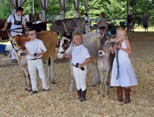 news nc Lam Fair 4H PeeWees 12 gm 3724 copy