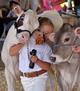 news nc Lam Fair 4H PeeWees 13a gm 3724 copy