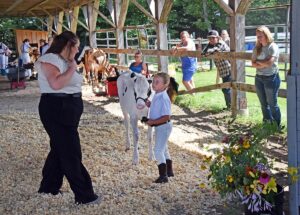 news nc Lam Fair 4H PeeWees 15 gm 3724 copy