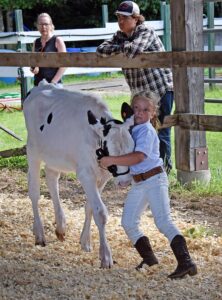news nc Lam Fair 4H PeeWees 17 gm 3724 copy