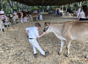 news nc Lam Fair 4H PeeWees 2 gm 3724 copy