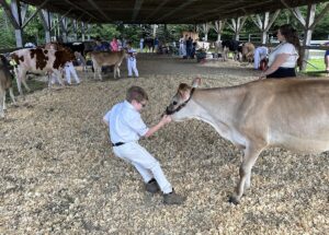 news nc Lam Fair 4H PeeWees 4 gm 3724 copy