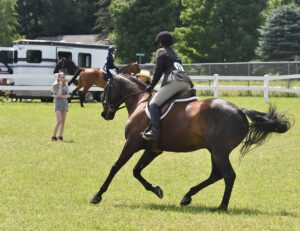 news nc Lam Fair Horse Expo 10 gm 3724 copy