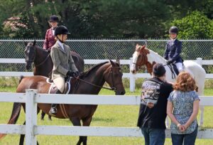 news nc Lam Fair Horse Expo 14 gm 3724 copy