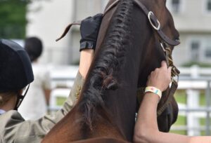 news nc Lam Fair Horse Expo 4 gm 3724 copy
