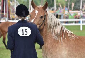 news nc Lam Fair Horse Expo 6 gm 3724 copy