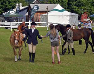news nc Lam Fair Horse Expo 7 gm 3724 copy