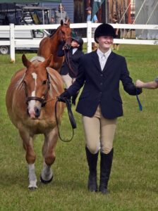 news nc Lam Fair Horse Expo 7a gm 3724 copy