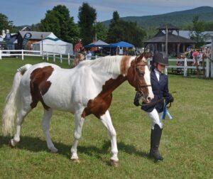 news nc Lam Fair Horse LeighAnn Judd 2 gm 3724 copy