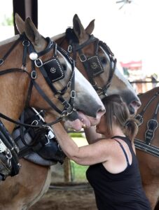 news nc Lam Fair Horse Pull 3 gm 3724 copy